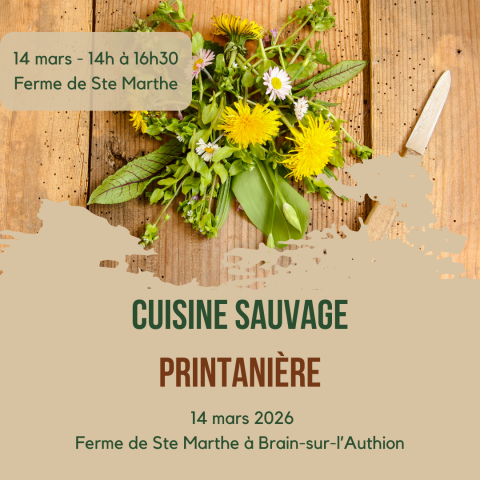 Cuisine sauvage en pleine nature