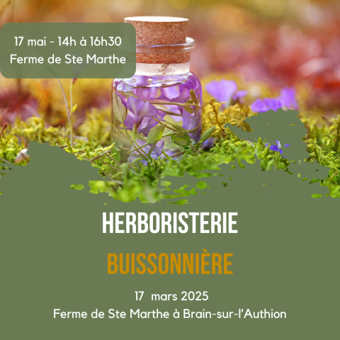Atelier herboristerie
