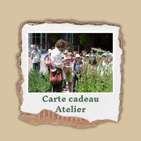 Carte cadeau