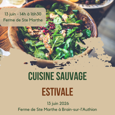 Cuisine sauvage en pleine nature