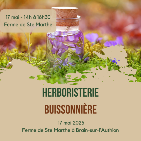 Atelier herboristerie