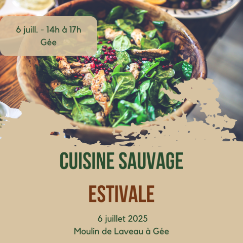 Cuisine sauvage en pleine nature