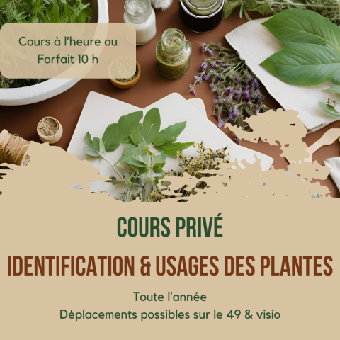 Cours priv  domicile
