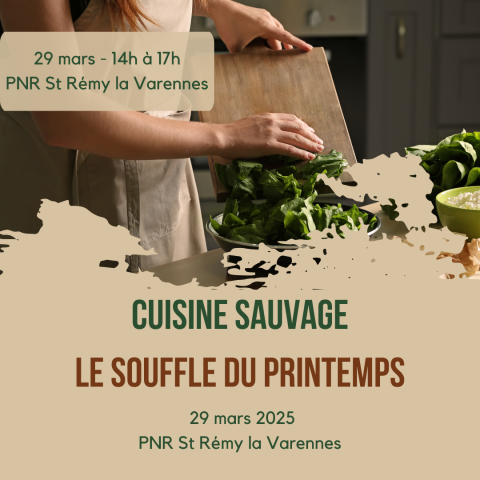 Atelier cuisine sauvage et naturo