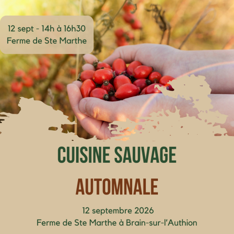 Cuisine sauvage en pleine nature