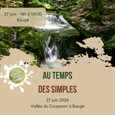 Au temps des simples