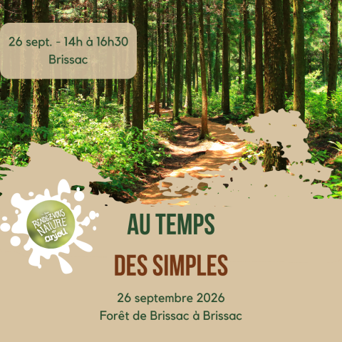 Au temps des simples